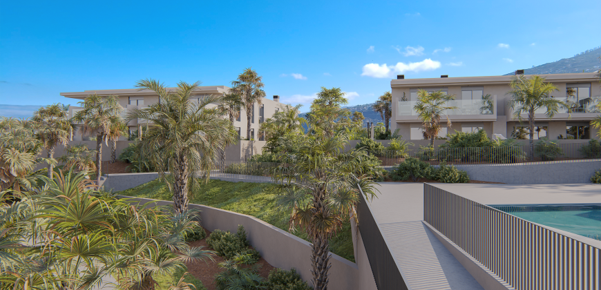 Obra Nueva Puerto de la Cruz